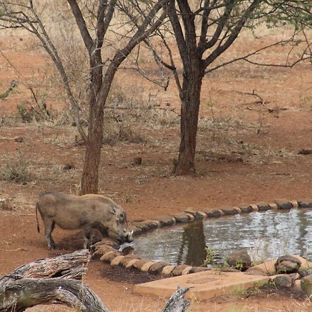 Khaya Ndlovu Safari Manor Villa Hoedspruit Buitenkant foto