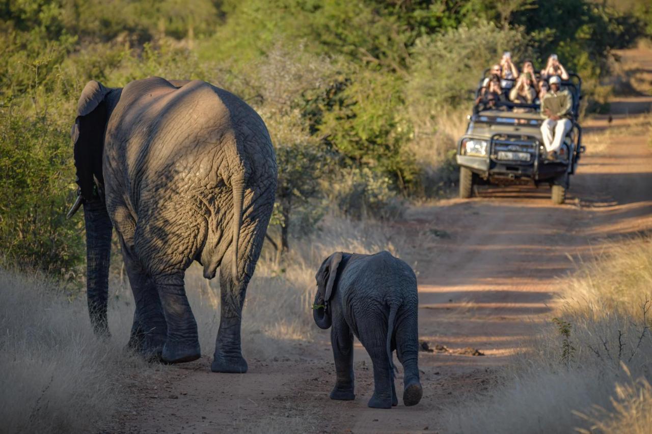 Khaya Ndlovu Safari Manor Villa Hoedspruit Buitenkant foto