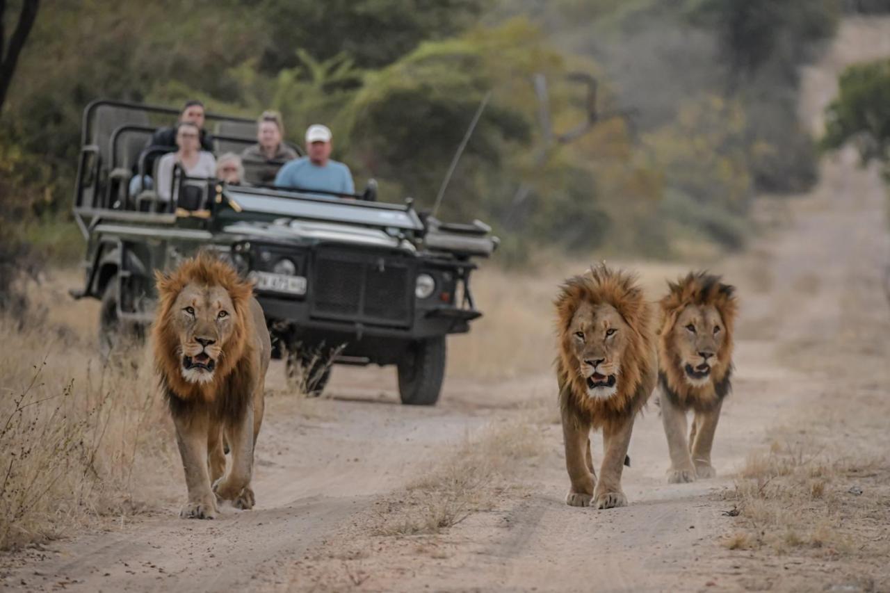 Khaya Ndlovu Safari Manor Villa Hoedspruit Buitenkant foto